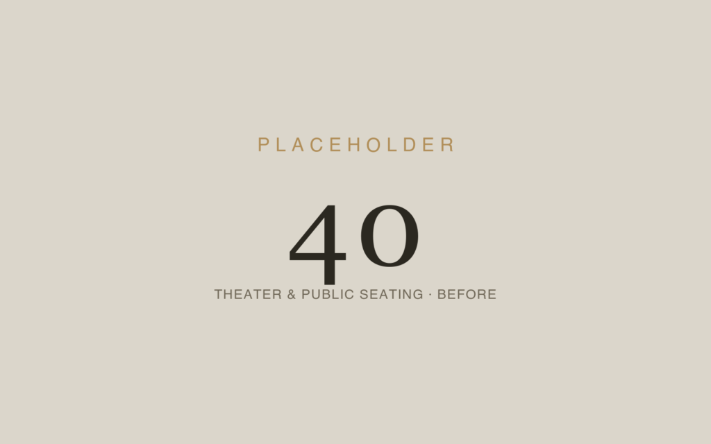 Theater, Auditorium & Public Seating — Before